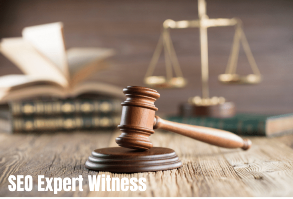 SEO Expert Witness